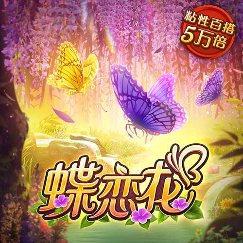 小入视频移动版